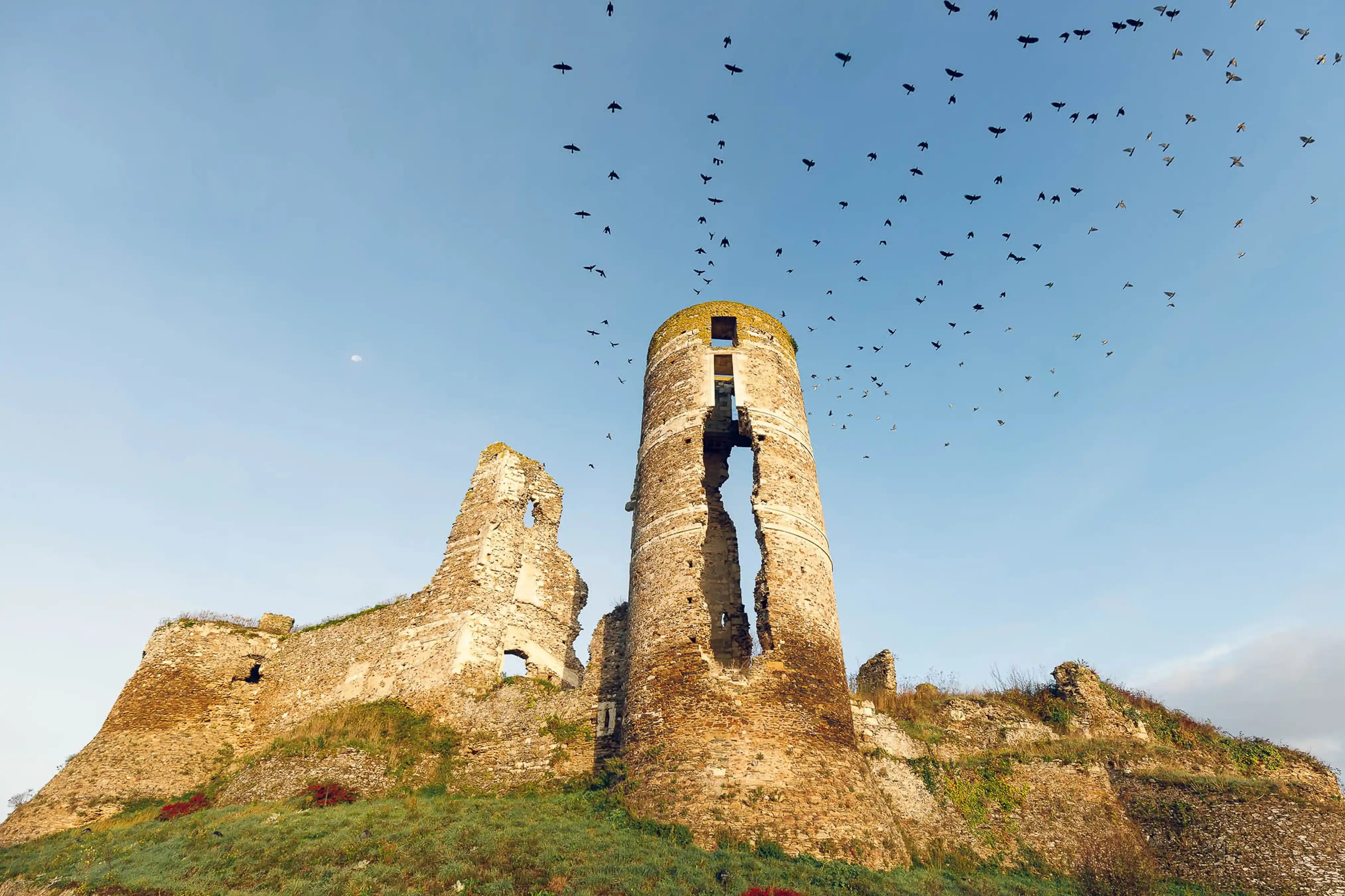 Château Champtocé soleil